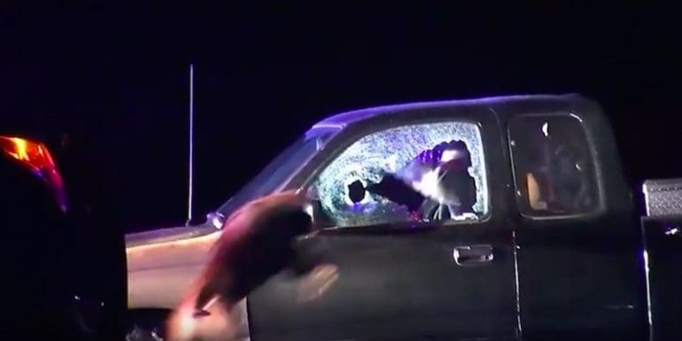 HERO DOG: K9 Leaps Through Broken Glass To Subdue Fugitive After Police ...