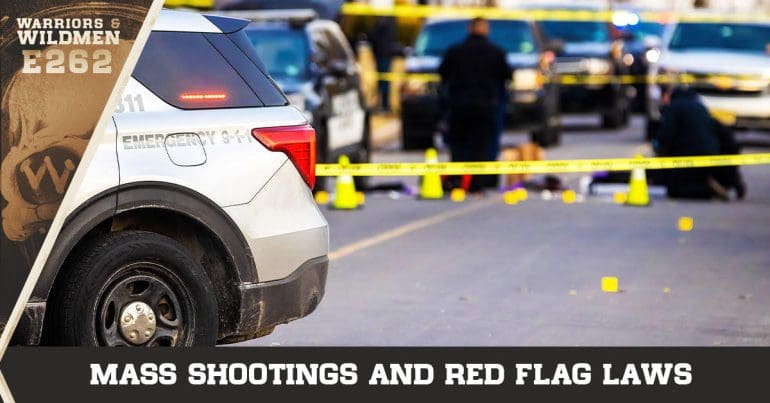 Mass Shootings and Red Flag Laws